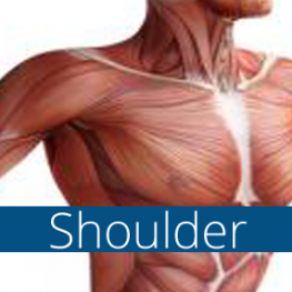 Trigenics shoulder course