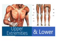 Upper & Lower Extremities Seminar
